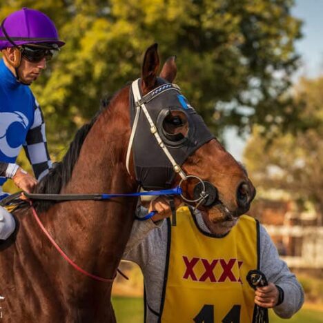 A race to race double at Warren