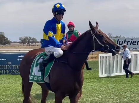 Nothing Crook in the last at Wellington